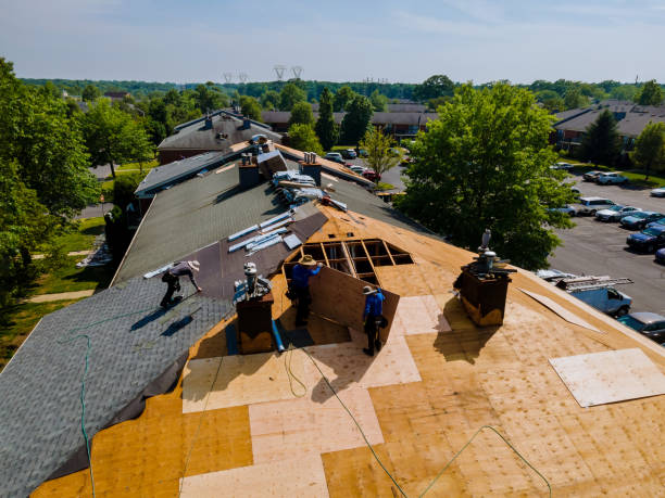 Trusted Flat Roof Repair service in Kirtland AFB, NM - Brentwood Metal Roofing